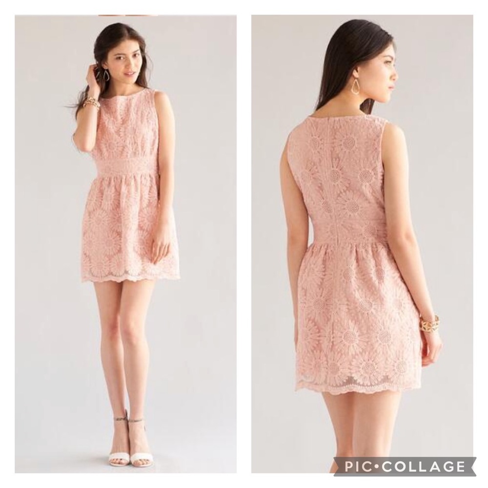 JUN&IVY Daisy Embroidered Floral Pink Coral Blush Zip Easter Spring Dress Size S